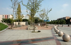 ׽W(wng)